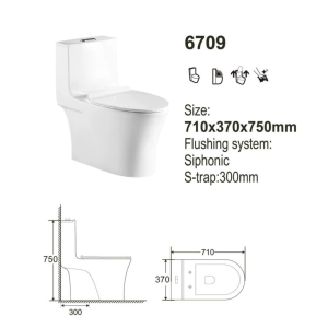 GRAVEN GR6709 One-Piece Toilet