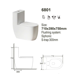 GRAVEN GR6801 One-Piece Toilet