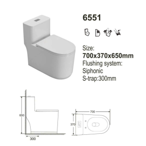 GRAVEN GR6551 One-Piece Toilet